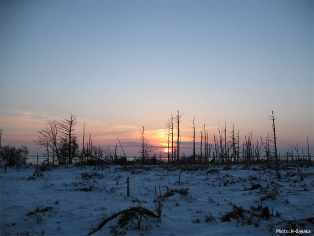 雪景色 北海道 冬 野付半島 トドワラ夕陽